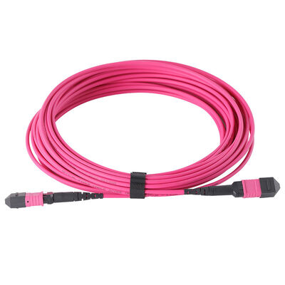 12/8/24 Fibers MPO to MPO OM3 Multimode Fiber Optic Patch Cord