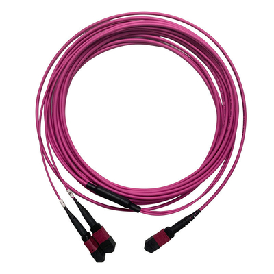 50/125 OM4 MM MPO パッチコード 24F 3.0mm PVC 高密度マルチモード
