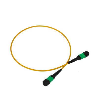 12F MPO パッチコード 3mm LSZH 外着 PVC OFNR ネットワークのための屋外